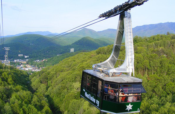 Roller Coasters in Tennessee