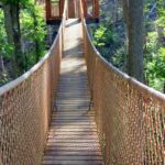 Anakeesta Tree Canopy Walk