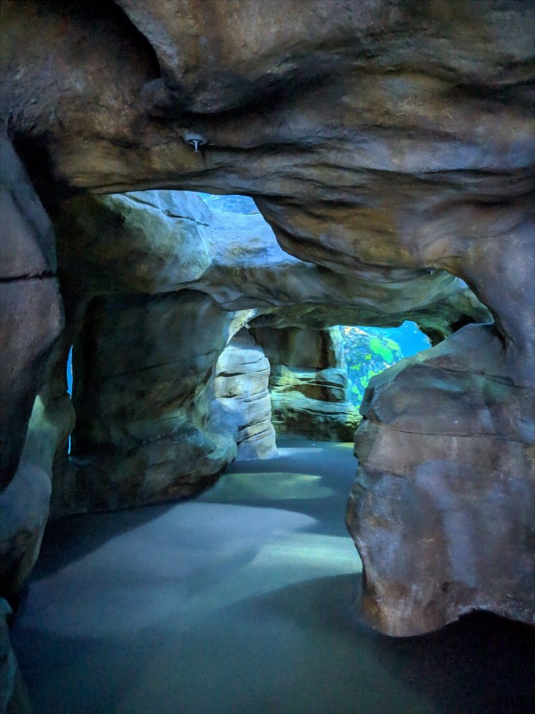 Tennessee Aquarium Island Life