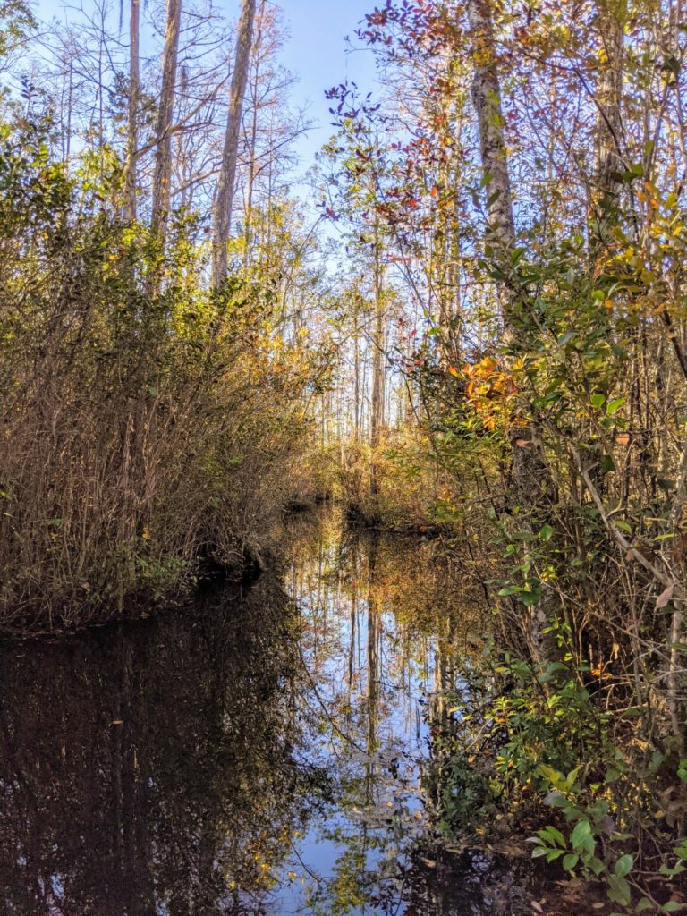 Okefenokee Swamp Park