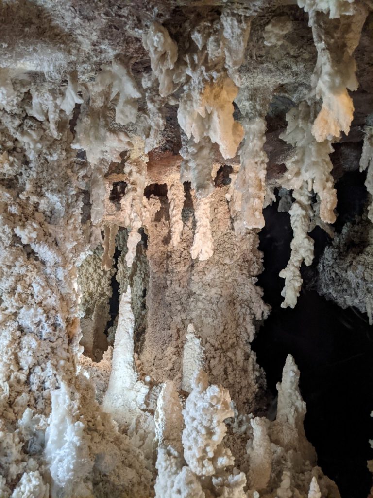 Denver Museum of Nature & Science