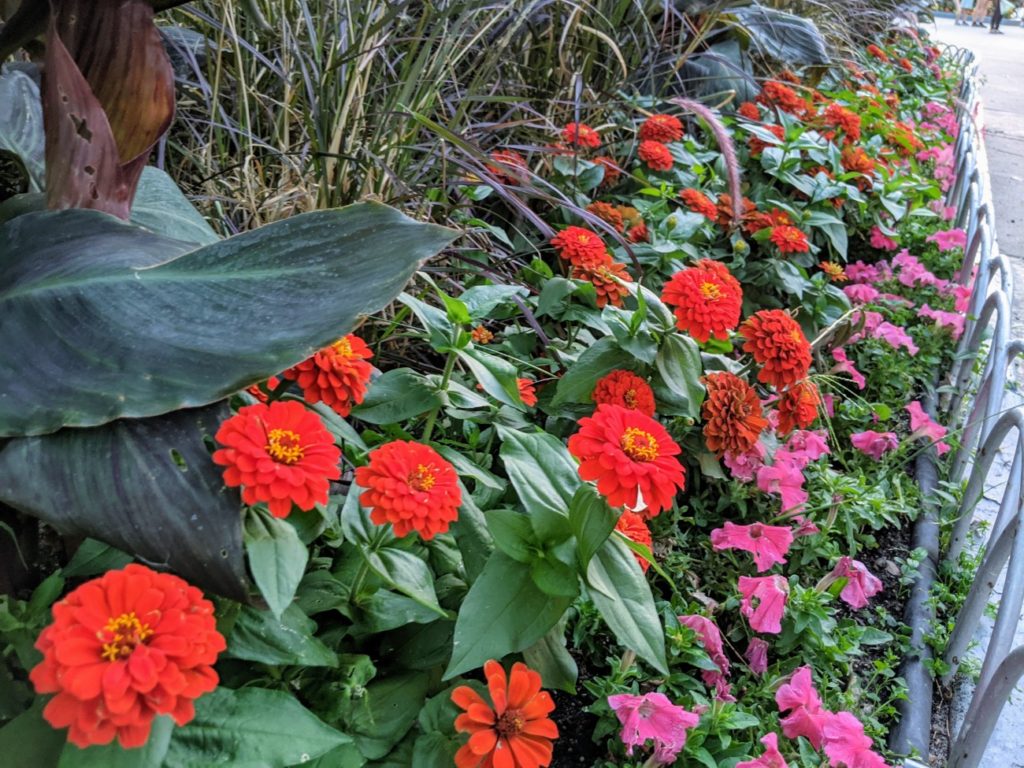 Lakeside Amusement Park