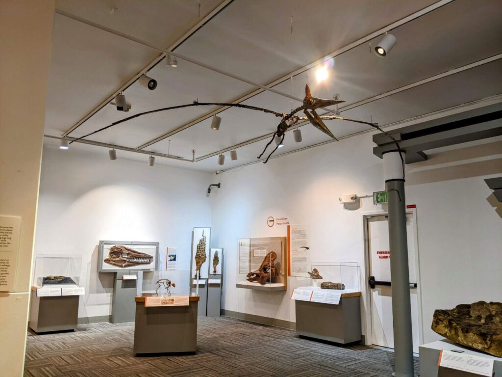 University of Colorado Boulder Museum of Natural History