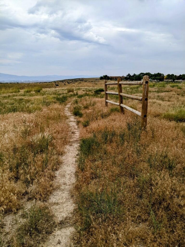 Peregrine Fund World Center for Birds of Prey
